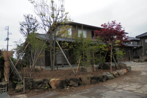 アオダモがあるシンプルな雑木の庭　新潟市　O様邸