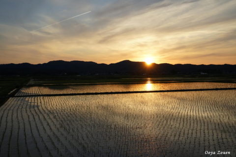 夕焼け